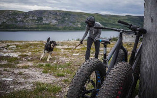 Fatbiking and picking in the Nunavik tundra - Panorama Cycles