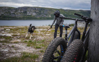 Fatbiking and picking in the Nunavik tundra - Panorama Cycles