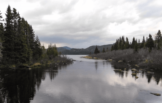 Jacques-Cartier Park Exploration - Panorama Cycles