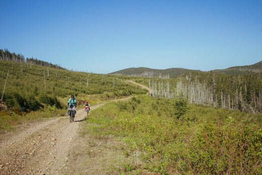 Two-day loop in the Reserve Faunique des Laurentide - Panorama Cycles