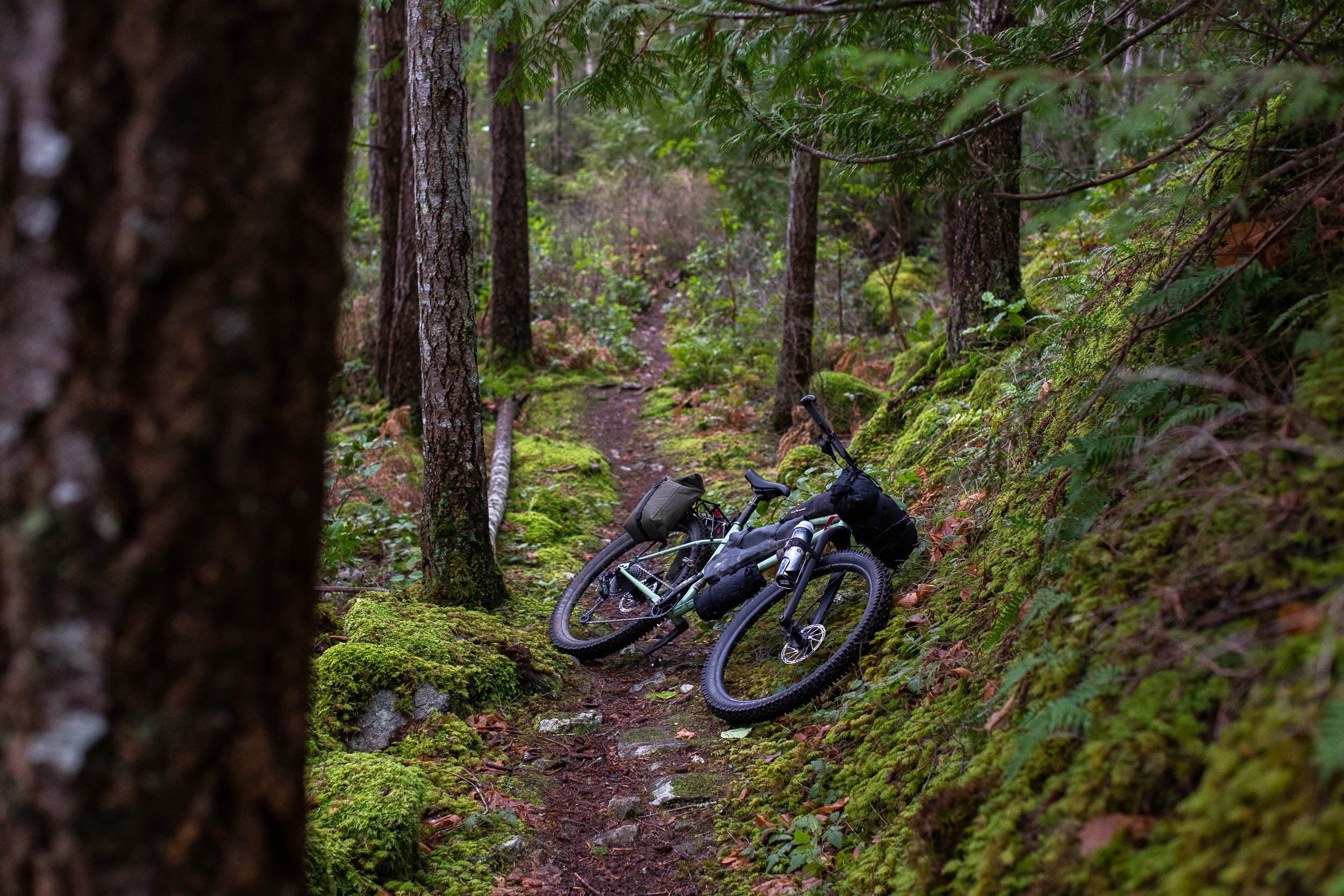 Vélo de montagne - Panorama Cycles