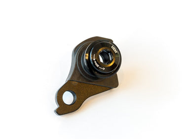 Derailleur hanger - SRAM UDHPanorama Cycles